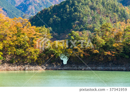 <東京>秋天的奧多摩湖，自然風光 37341959