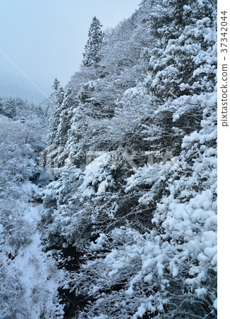 Niigawa分支的冬天風景 37342044