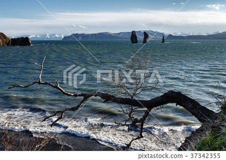 Kamchatka seascape - Avacha Bay in Pacific Ocean 37342355