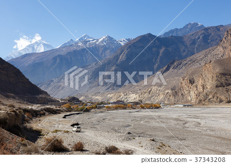 View of the Himalayas and town Jomsom. 37343208