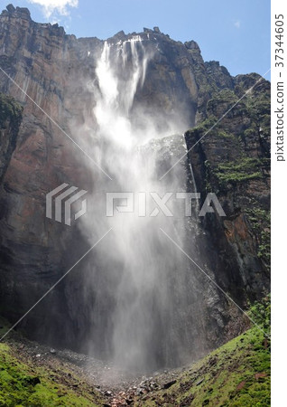 天使墜落 37344605