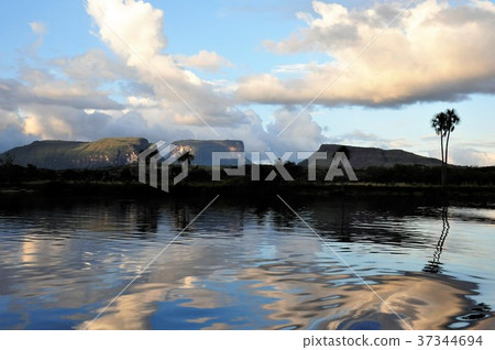 天使之路秋天 37344694