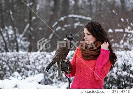 girl with a falcon 37344748