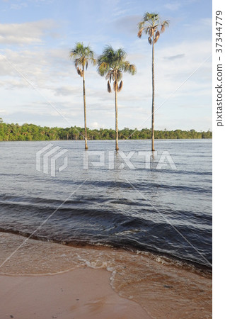 卡奈瑪湖 37344779