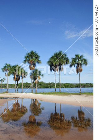 卡奈瑪湖 37344827