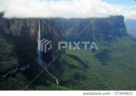 天使墜落 37344922