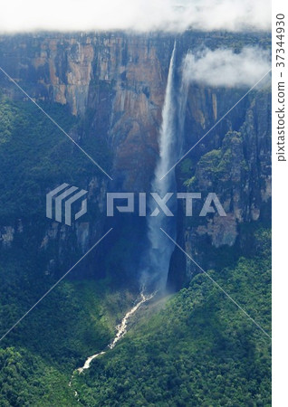 天使墜落 37344930