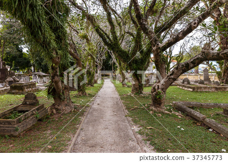 Old Protestant Cemetery Old Protestant Cemetery 37345773