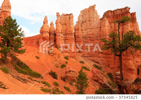 Panorama from Bryce Canyon National Park, USA Panorama from Bryce Canyon National Park, USA 37345825