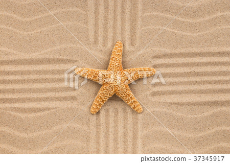 Summer wallpaper. Starfish on sand, background. 37345917