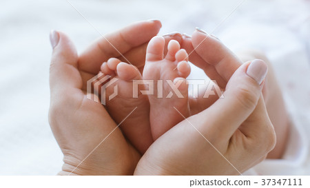 mother holds legs newborn baby 37347111