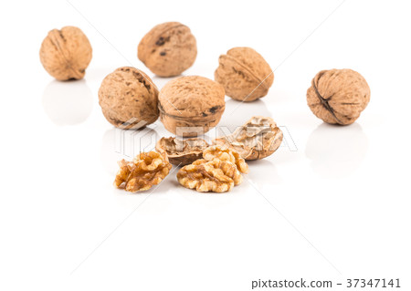 Walnut nut on white Walnut nut on white 37347141