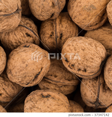 Walnut nut closeup Walnut nut closeup 37347142