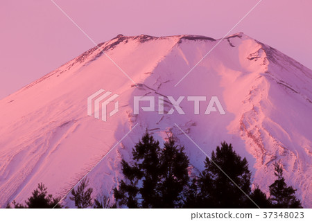 The top of Mt. Fuji dyed red 37348023