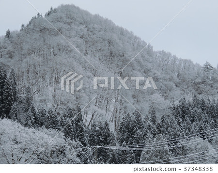 秋田縣雪景在冬天 秋田縣雪景在冬天 37348338