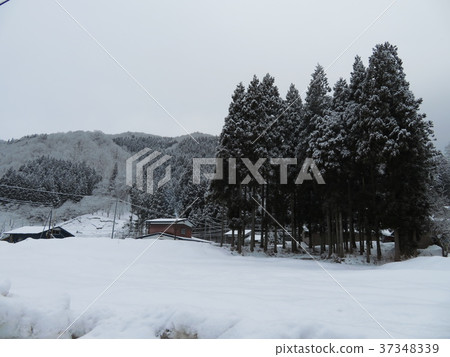 秋田縣雪景在冬天 37348339