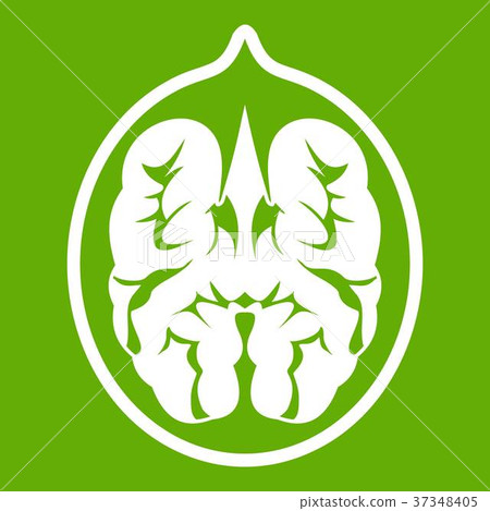 Walnut icon green 37348405