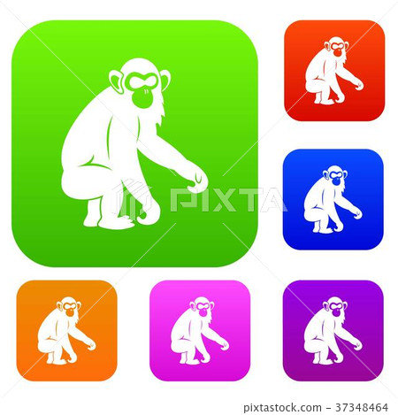 Macaque set color collection Macaque set color collection 37348464