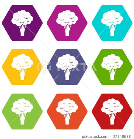 Broccoli icon set color hexahedron Broccoli icon set color hexahedron 37348688