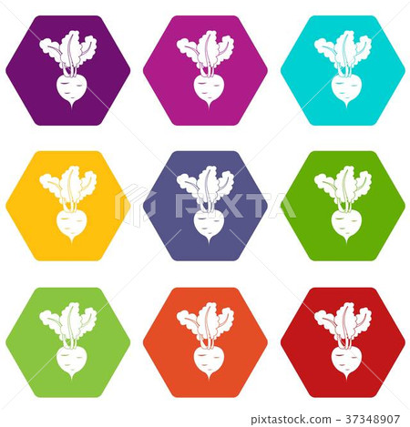 Fresh beetroot icon set color hexahedron 37348907