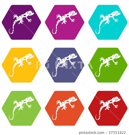 Chameleon icon set color hexahedron 37351822
