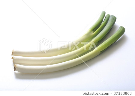 Bent green onion Bent green onion 37353963