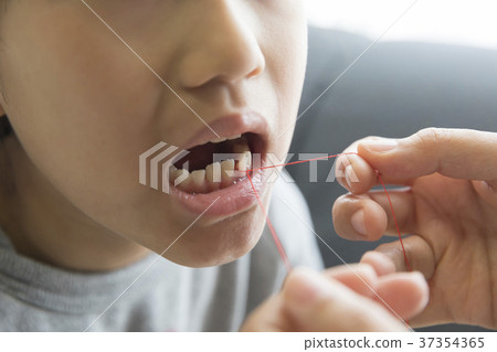 Girl pulling out her milk teeth at home 37354365