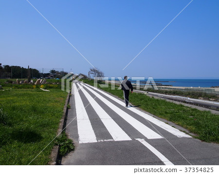 日本的人行橫道 37354825