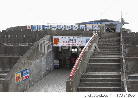 鴨川海洋公園路站（千葉縣鴨川市） 37354860