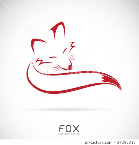 Vector of a red fox design on white background.  37355315