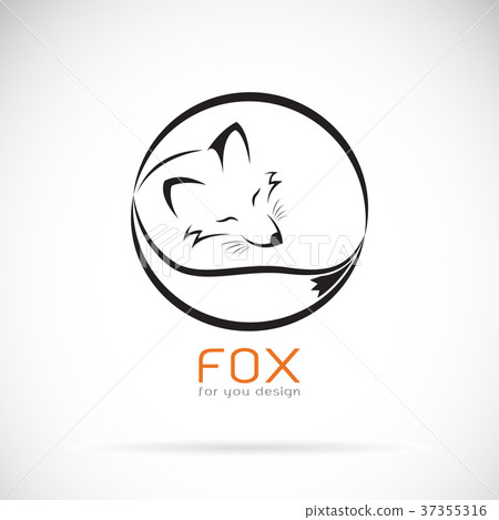 Vector of a fox design on white background.Animals 37355316
