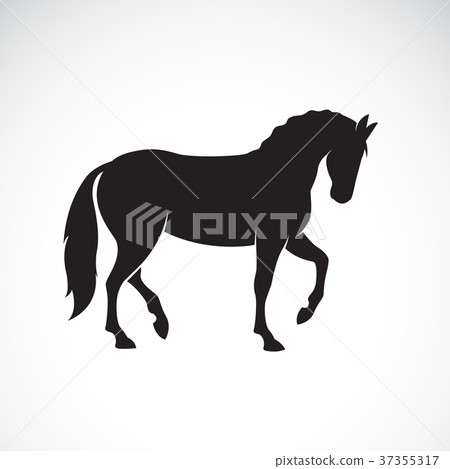 Vector of a horse isolated on white background.  37355317