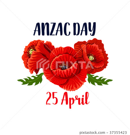 Anzac Day poppy vector 25 April Australian icon Anzac Day poppy vector 25 April Australian icon 37355423