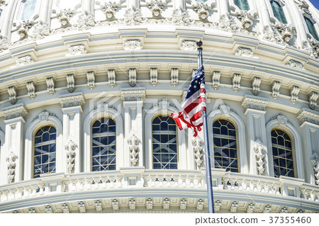 United States Capitol (United States Capitol) 37355460