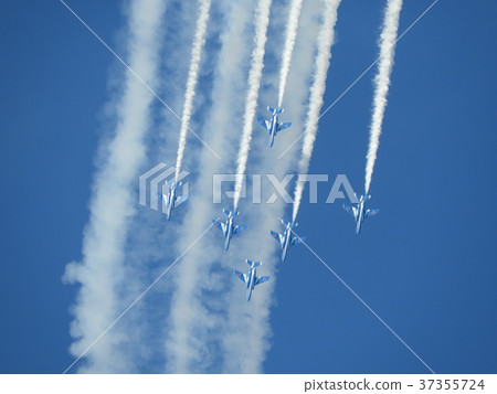 藍色的衝動飛得生動雜技 37355724