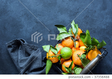 Tangerines or clementines with green leaves in 37356488