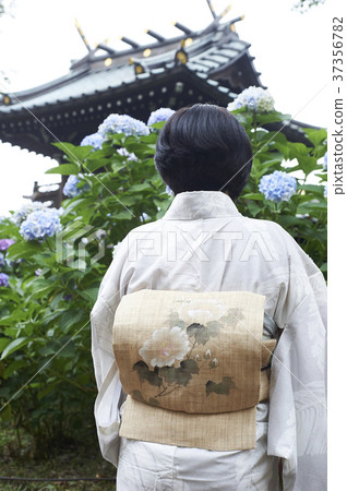 和服繡球花 和服繡球花 37356782