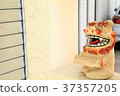 Okinawa Yaeyama Ishigakijima Smile Sear 37357205