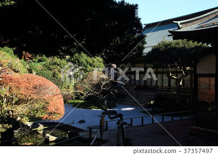 報告寺廟,正殿,花園,臨濟教派,Kenchoji學校 報告寺廟,正殿,花園,臨濟教派,Kenchoji學校 37357497