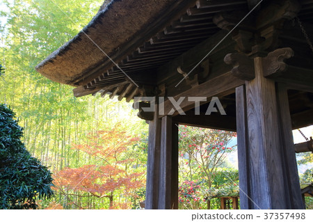 報告寺廟,從鐘樓,臨濟,Kenchoji查看 報告寺廟,從鐘樓,臨濟,Kenchoji查看 37357498