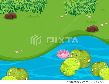 Park scene with lotus and waterlily Park scene with lotus and waterlily 37357719