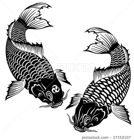 日式鯉魚, 日式鯉魚, 37358107