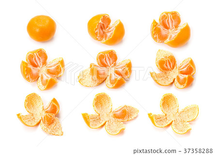 Arita peeling of mandarin orange Arita peeling of mandarin orange 37358288