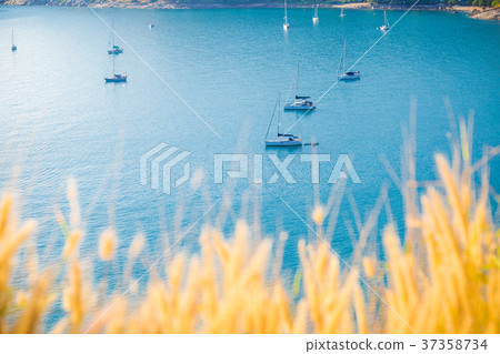 Yatch boat on Andaman sea with yellow grass 37358734