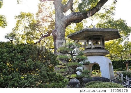 Kobe · Aikakuen 37359376