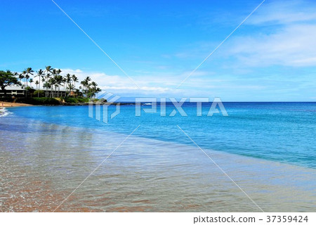 毛伊島毛伊島海灣napili海灣 毛伊島毛伊島海灣napili海灣 37359424