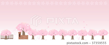 Main gate and cherry blossom trees 37359555
