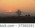 Anseong ranch, Anseong city, Gyeonggi 37360281