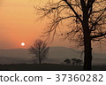Anseong ranch, Anseong city, Gyeonggi 37360282