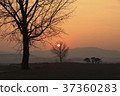 Anseong ranch, Anseong city, Gyeonggi 37360283